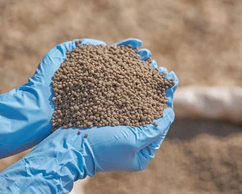 Diammonium Phosphate