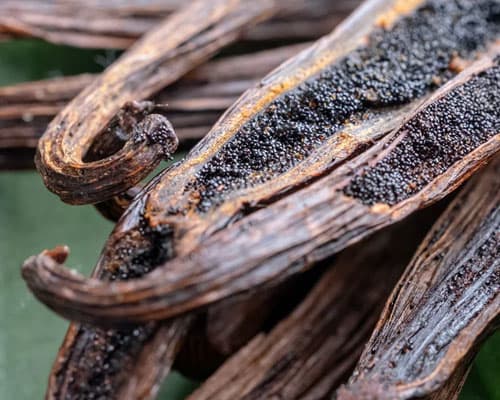 Vanilla Beans