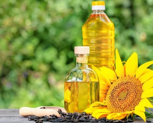 Sunflower Oil