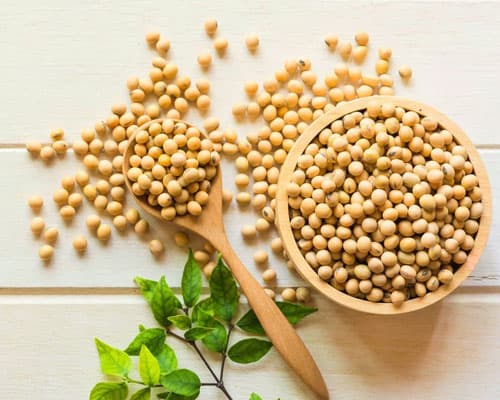 Soya Non-GMO
