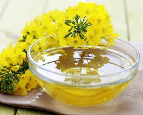Canola Oil